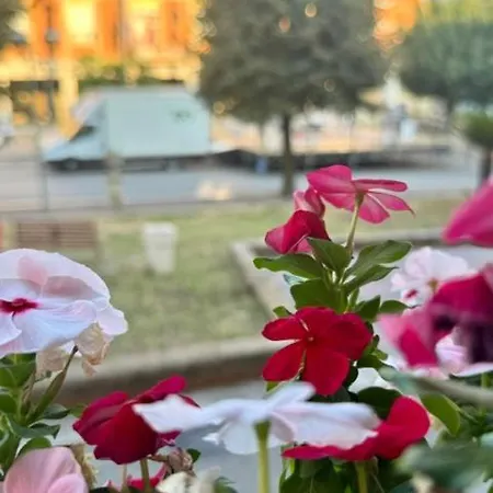 Sicily Alojamento de Acomodação e Pequeno-almoço