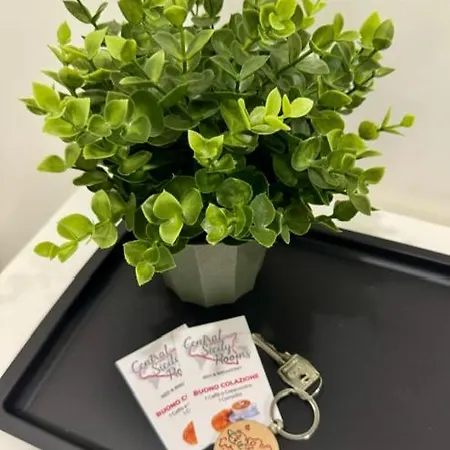 Alojamento de Acomodação e Pequeno-almoço Sicily