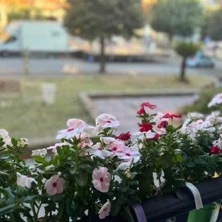 Alojamento de Acomodação e Pequeno-almoço Sicily